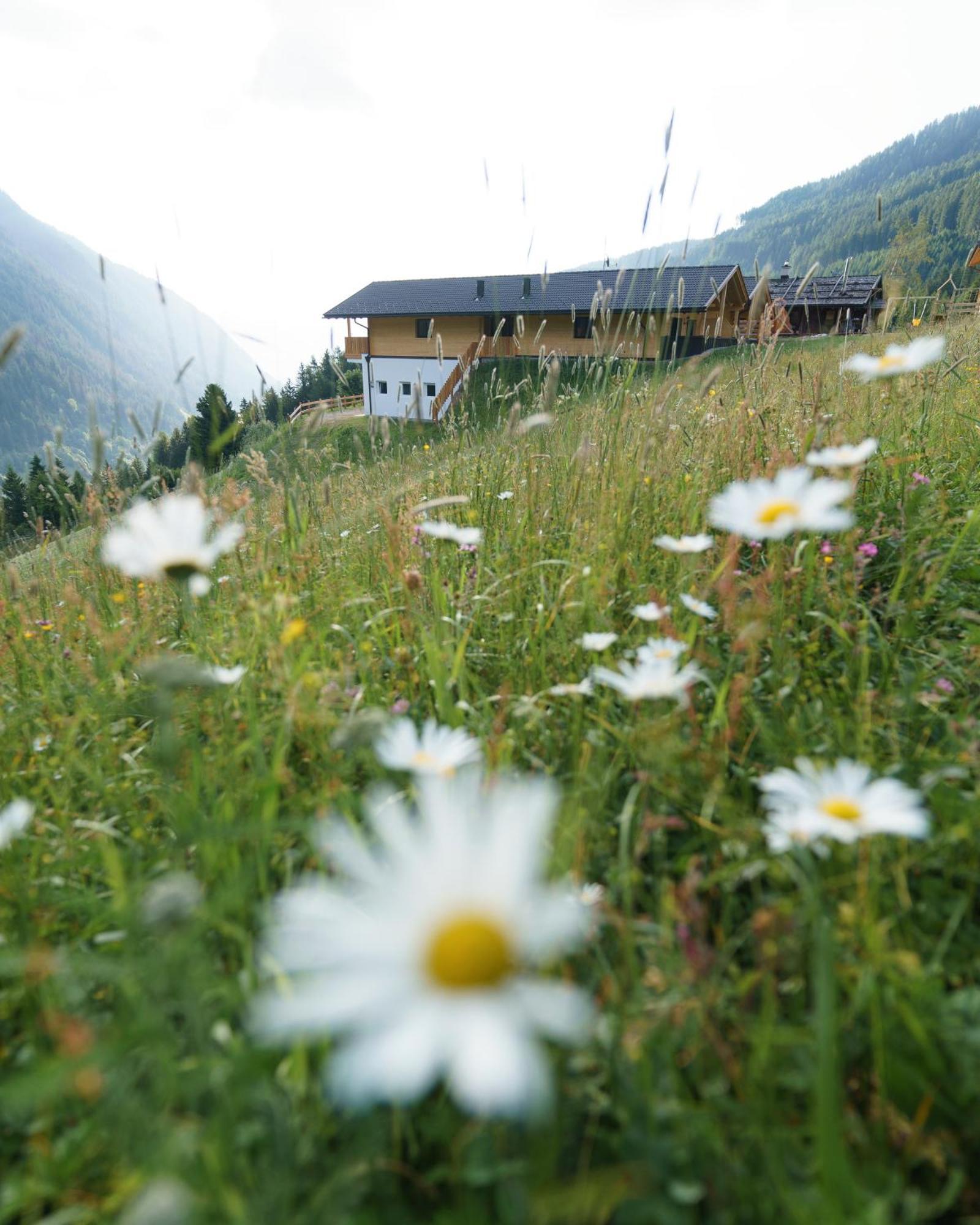Blosegghof Bergchalets Waldblick Racines Exterior photo